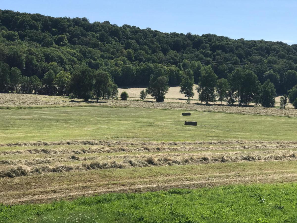 Gite 6 Pers De La Vallee De L'Aujon Arc-en-Barrois Exterior foto