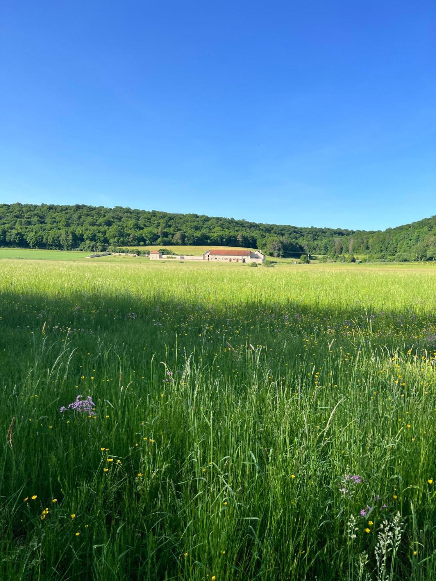 Gite 6 Pers De La Vallee De L'Aujon Arc-en-Barrois Exterior foto